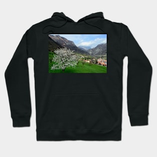 Spring in Valle Camonica Hoodie